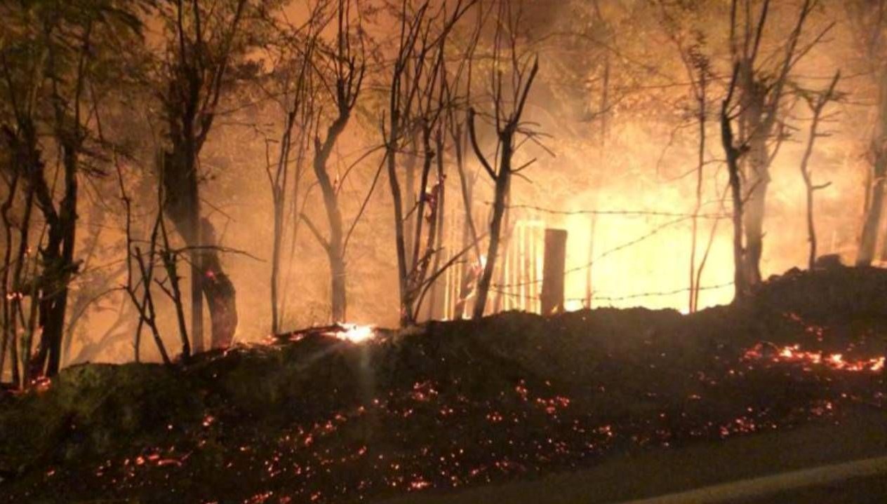 balikesirde yol kenarindaki agaclar yandi 1InGMGAr