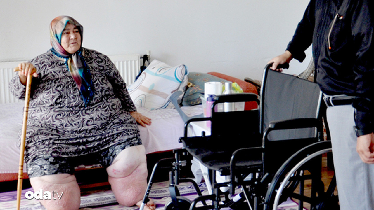 fil hastasi gulere yeni umut tekerlekli sandalye DcRuHMfJ