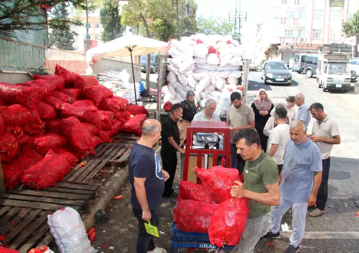 gaziantepte biber salcasi sezonu basladi LaSOLdkm