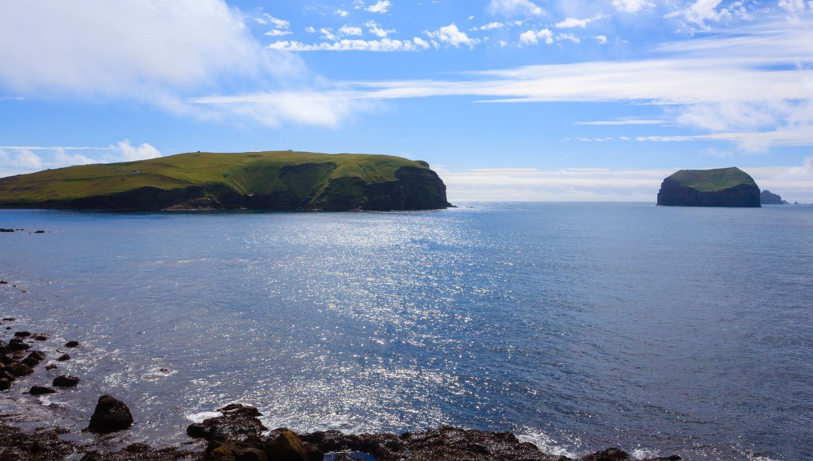 60 yil once dogan ada tabiatin kendini nasil onardiginin kaniti oldu 8TXwLlTK.jpg
