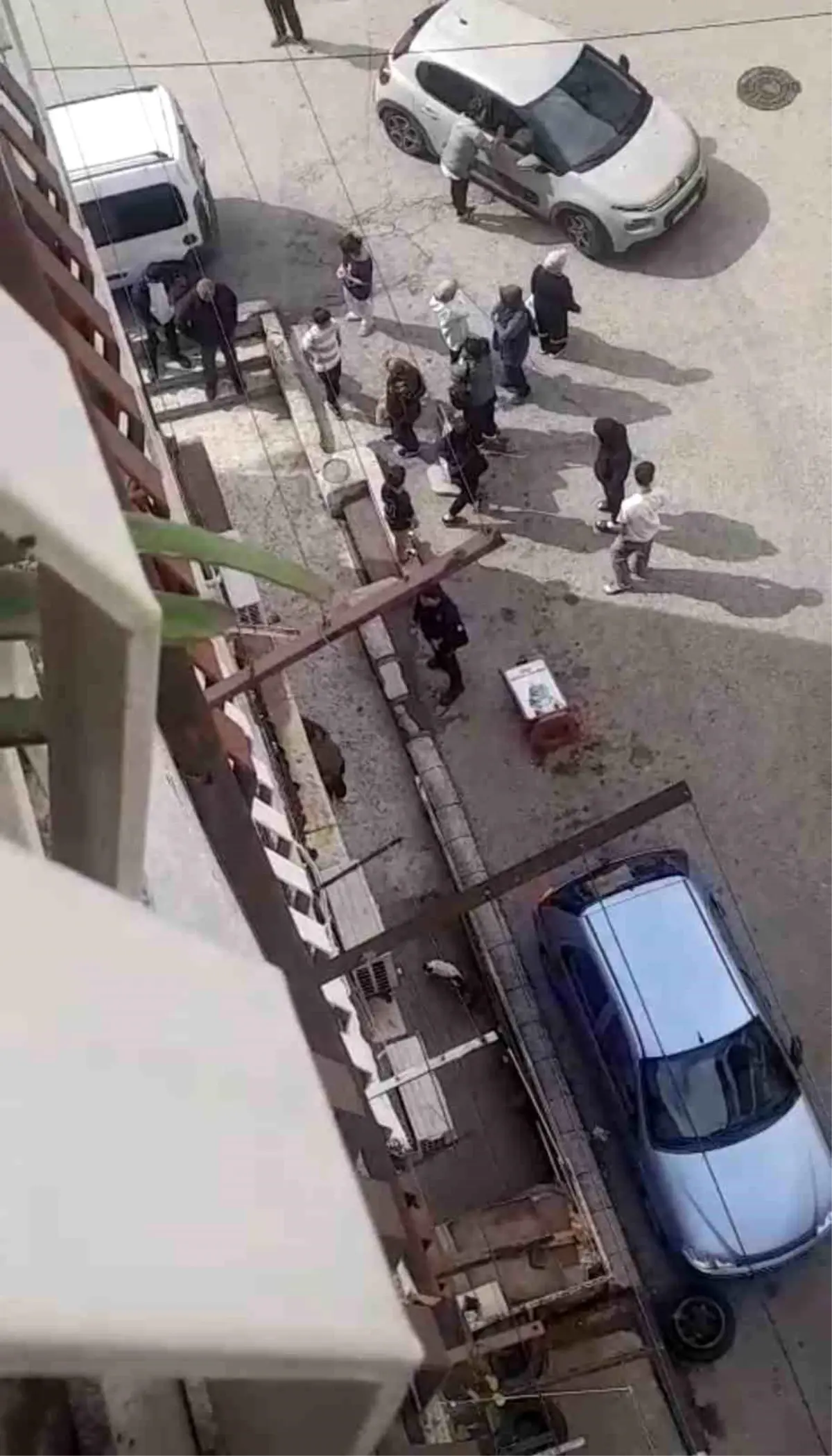 bursada petshopta taciz iddiasi pnzZGUum