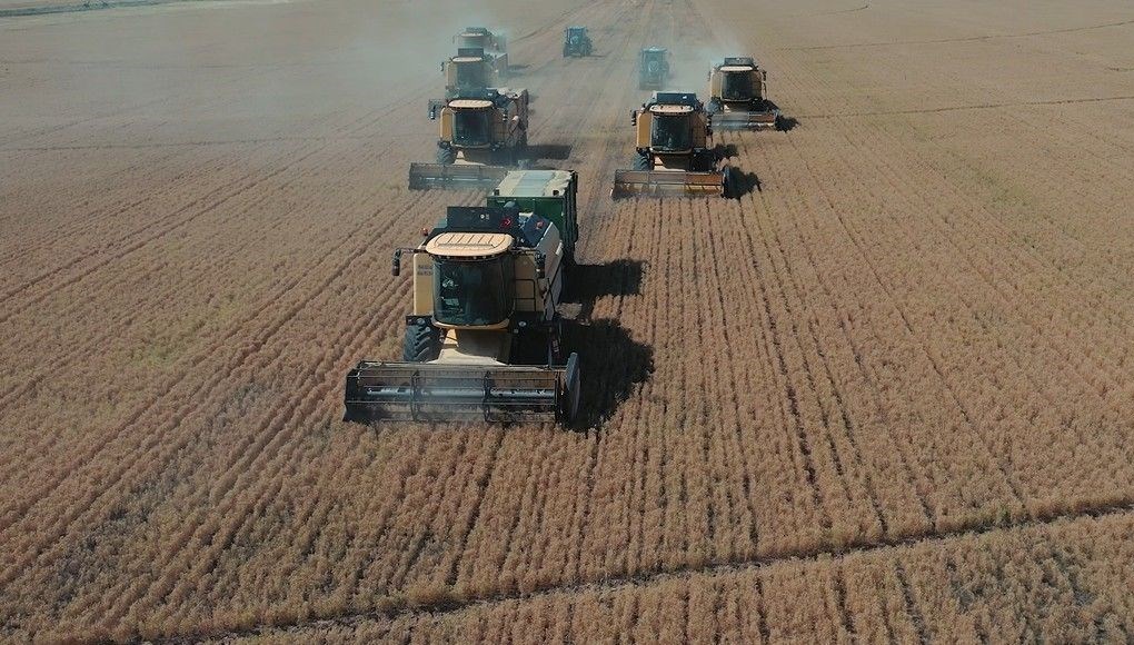 tigem mevsimlik isci alimi basvuru ekrani tarim isletmesi mudurlugu isci alimi kadro dagilimi ve basvuru sartlari cm68MMQR