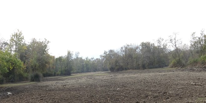 turkiyenin 3uncu buyuk longozu da kurudu 5dghaUSS.jpg